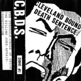 CBDS-Demo-2-Cover