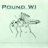 PoundWI-Perserverance-7inch-01-Cover