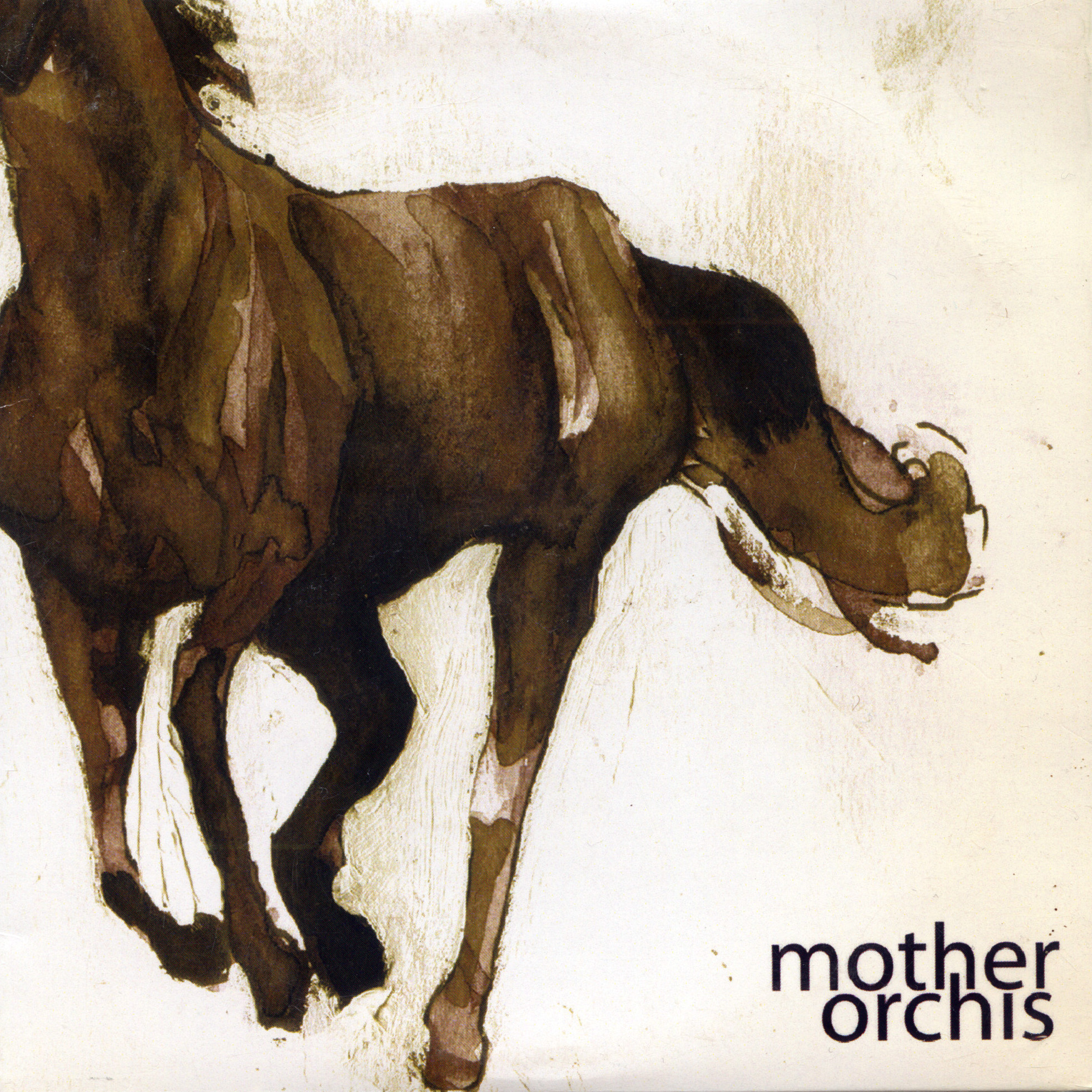 Mother Orchis – Mother Orchis EP | MKE Punk